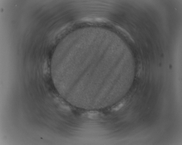 X0000081310966200702012330