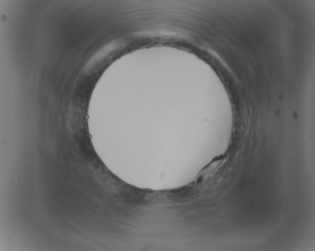 X0000081310967200702012330