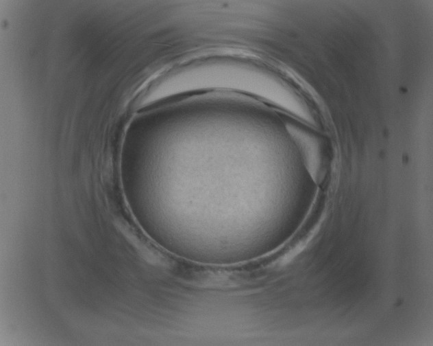 X0000081310969200702012330