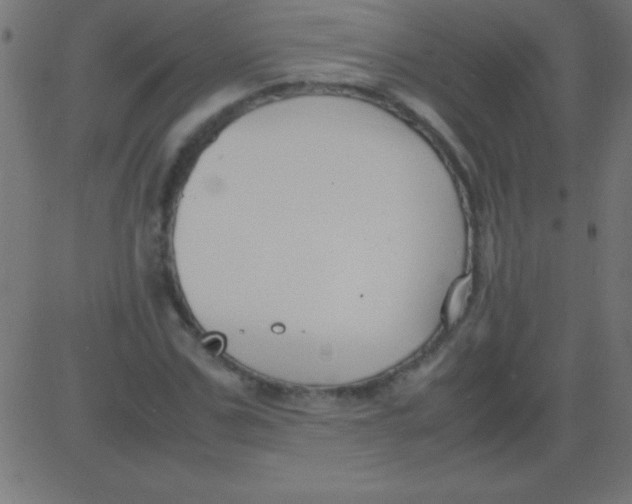 X0000081310971200702012330