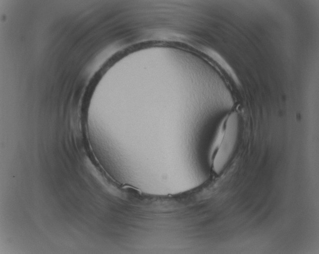 X0000081310972200702012330