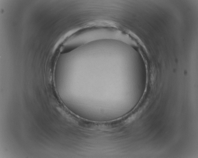 X0000081310973200702012330