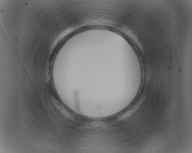 X0000081310974200702012330