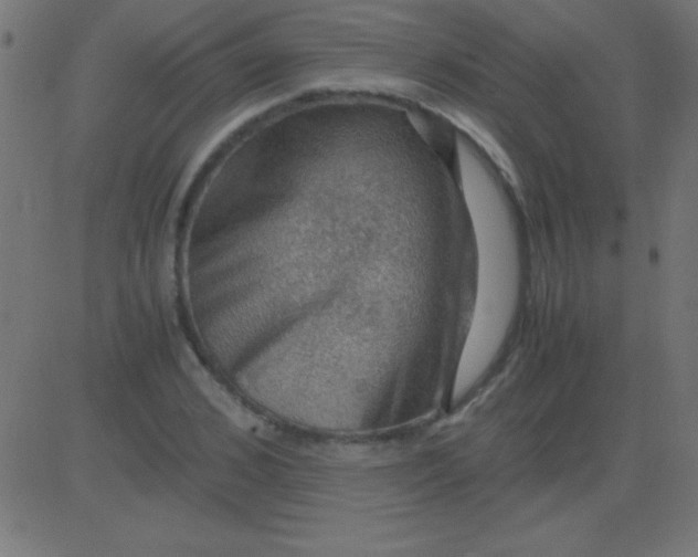 X0000081310976200702012330