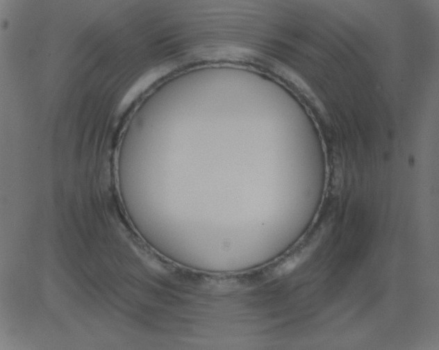 X0000081310978200702012330