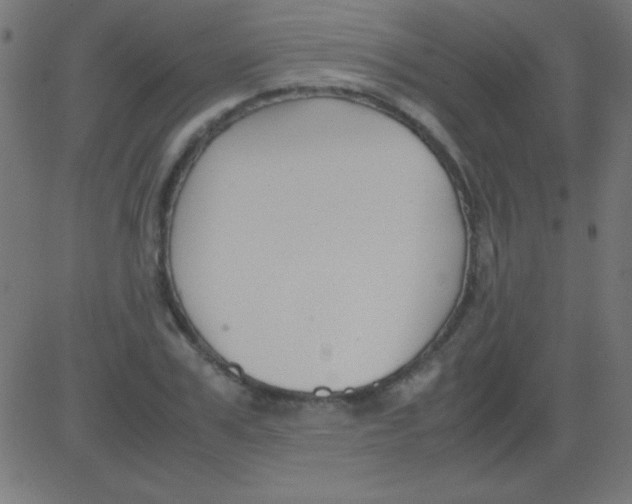 X0000081310979200702012330