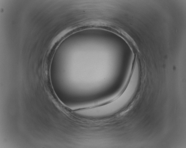 X0000081310981200702012330