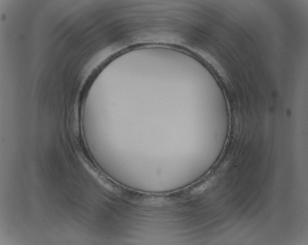 X0000081310982200702012330