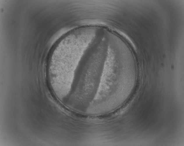 X0000081310983200702012330