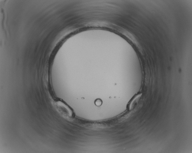 X0000081310984200702012330