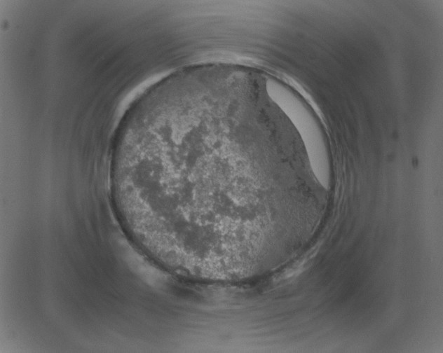 X0000081310987200702012330