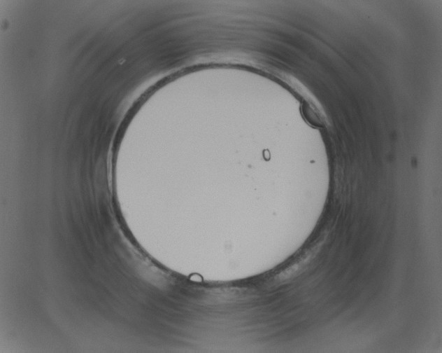 X0000081310988200702012330