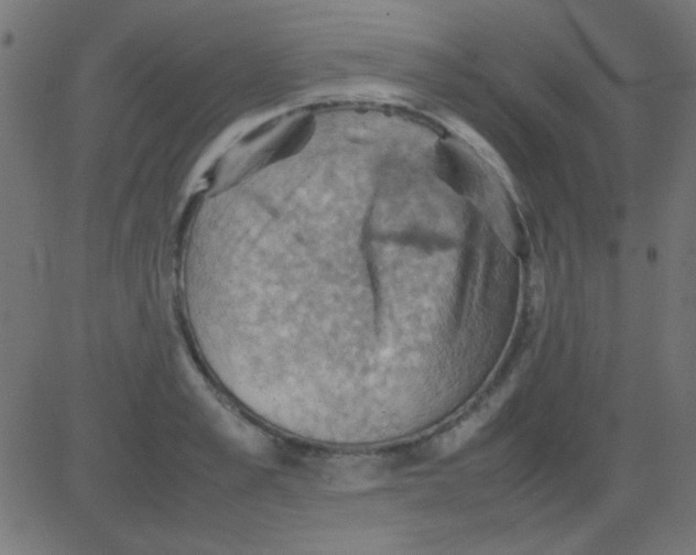 X0000081310989200702012330