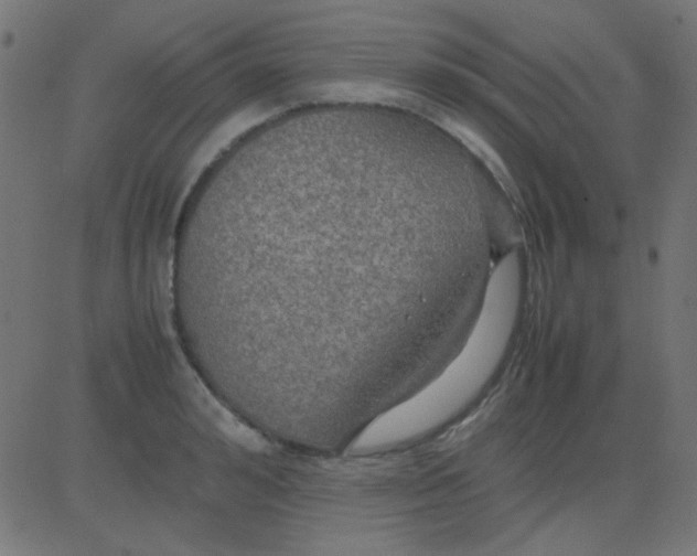 X0000081310992200702012330