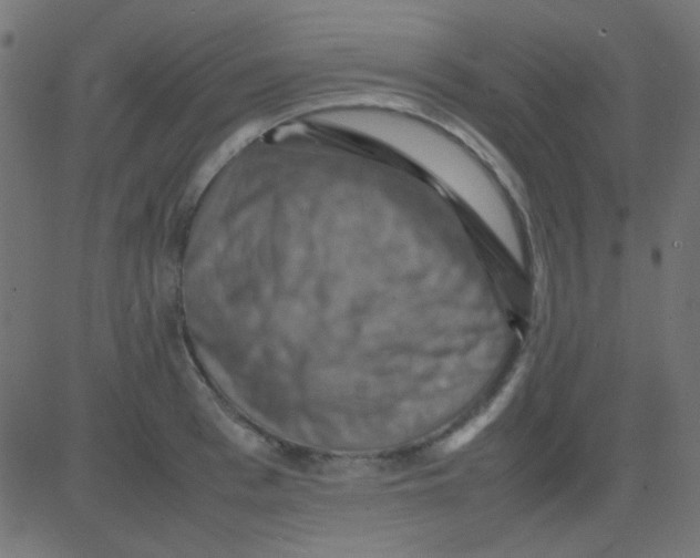 X0000081310993200702012330