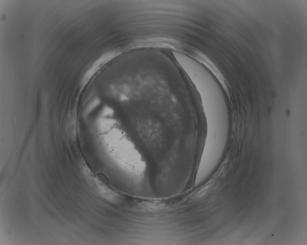 X0000081310994200702012330