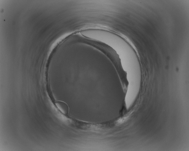 X0000081310995200702012330