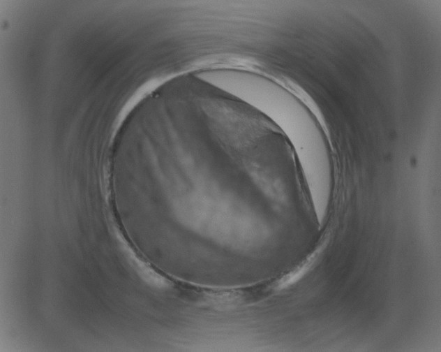 X0000081310997200702012330