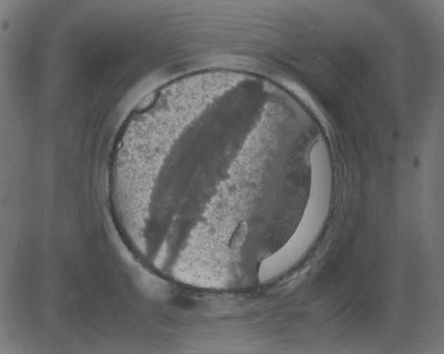 X0000081310999200702012330