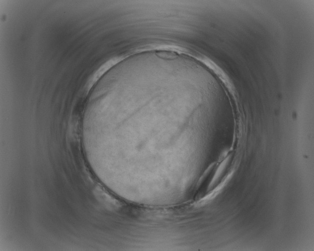 X0000081311001200702012330