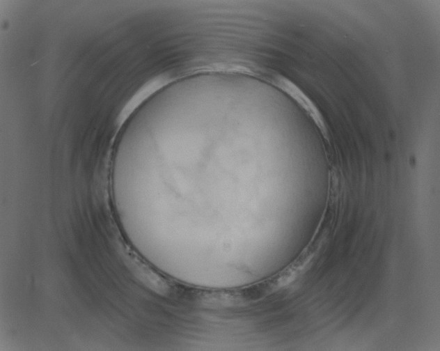 X0000081311002200702012330