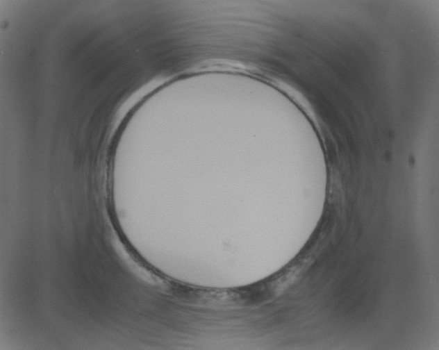 X0000081311003200702012330