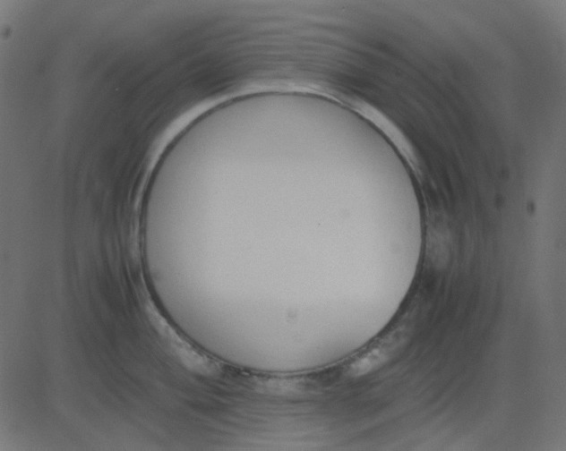 X0000081311004200702012330