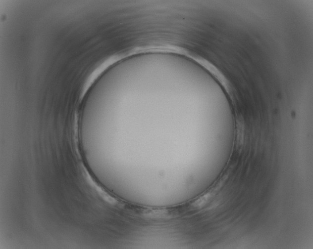 X0000081311006200702012329