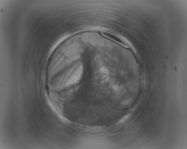 X0000081311007200702012329