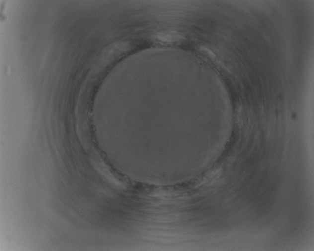 X0000081311009200702012329