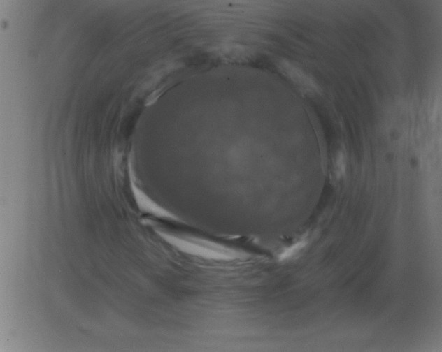 X0000081311010200702012329