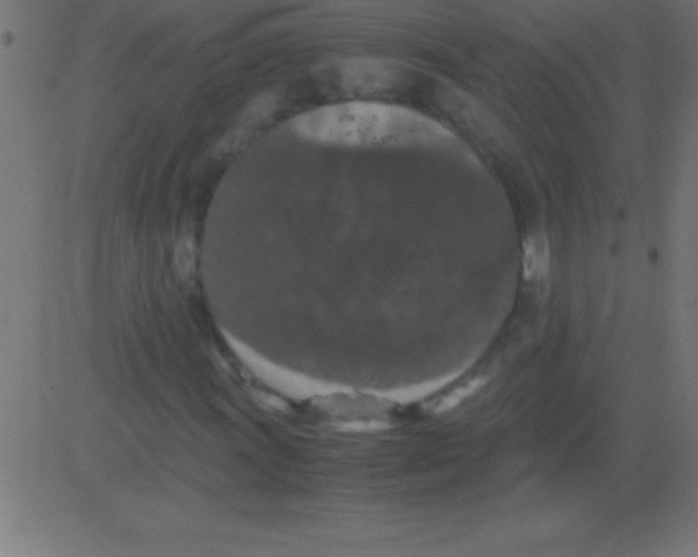 X0000081311011200702012329