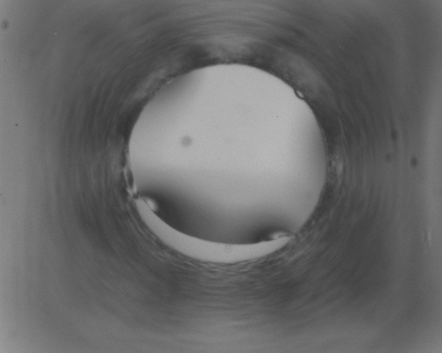 X0000081311012200702012329