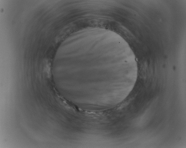 X0000081311013200702012329