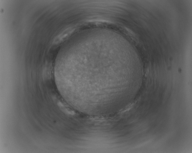 X0000081311014200702012329