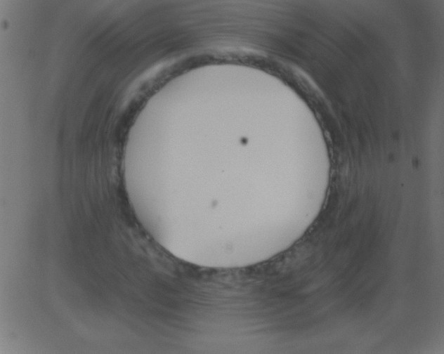 X0000081311016200702012329