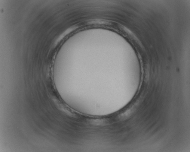 X0000081311017200702012329