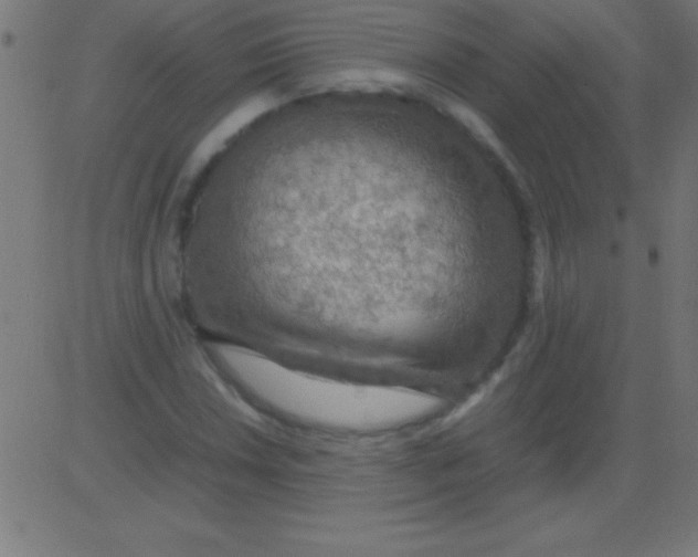 X0000081311018200702012329