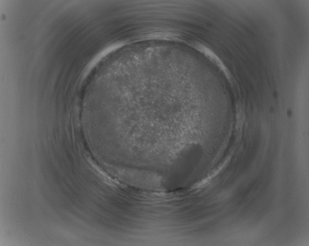 X0000081311019200702012329