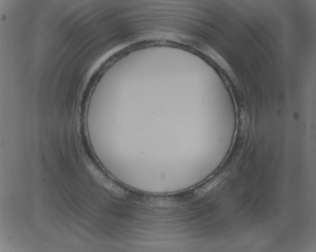 X0000081311020200702012329