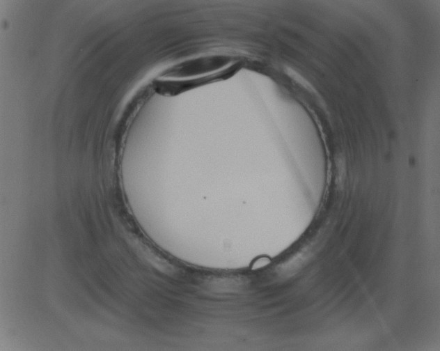 X0000081311021200702012329