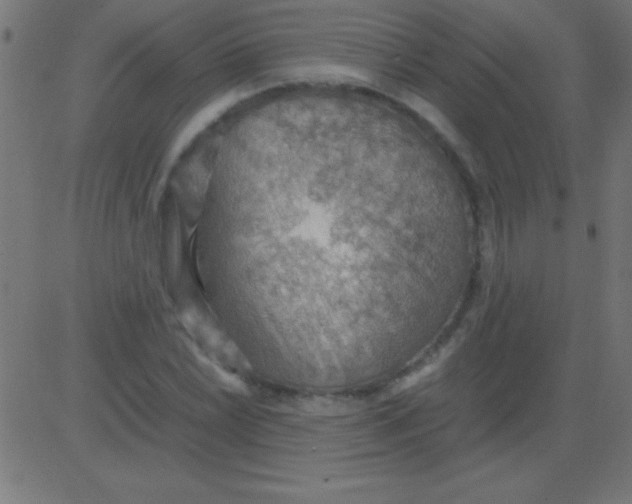 X0000081311022200702012329