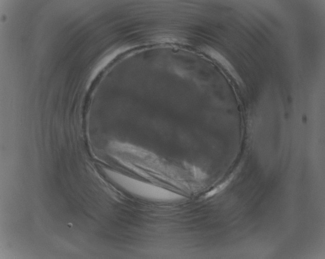 X0000081311023200702012329