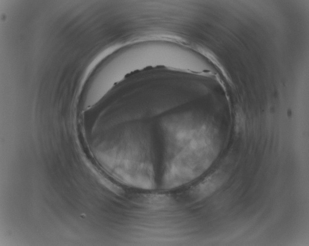 X0000081311024200702012329