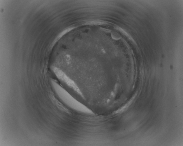 X0000081311025200702012329