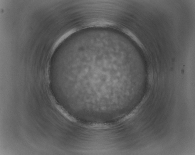 X0000081311026200702012329