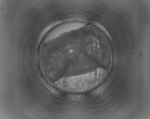 X0000081311027200702012329