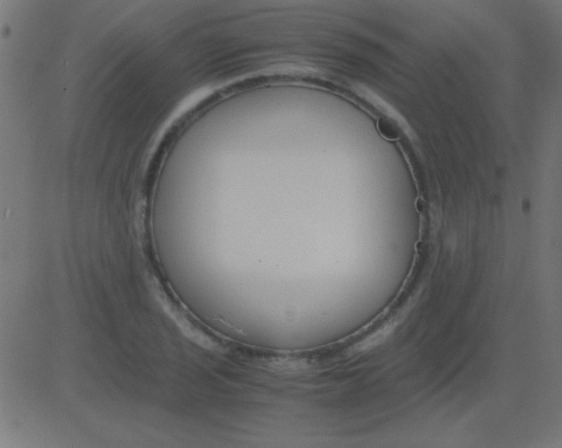 X0000081311029200702012329