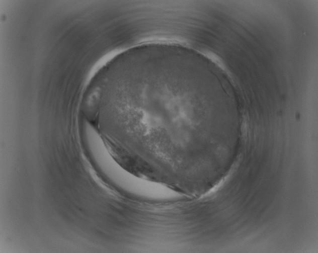 X0000081311030200702012329