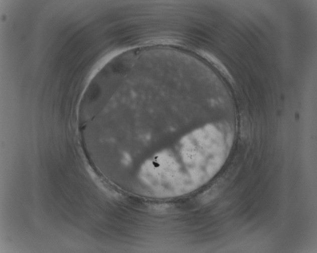 X0000081311031200702012329